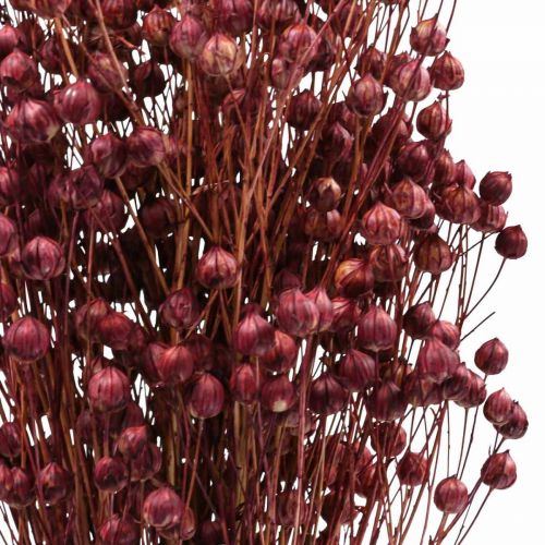 Artículo Hierba Seca Lino Seco Rosa Viejo Al.50–55cm 80g