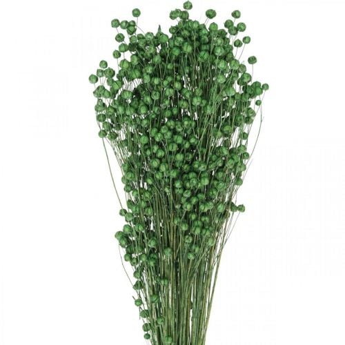 Hierba seca Lino seco Verde H50–55cm 80g
