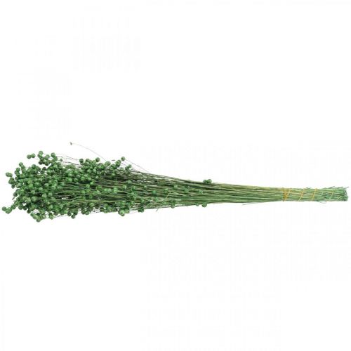 Artículo Hierba Seca Lino Seco Verde Al.50–55cm 80g