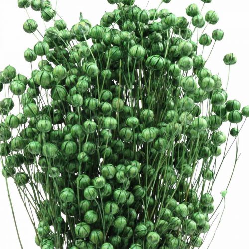 Artículo Hierba Seca Lino Seco Verde Al.50–55cm 80g