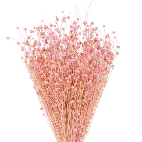 Artículo Hierba Seca Lino Seco Rosa Claro Al.50–55cm 80g