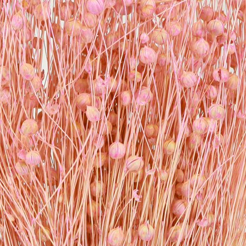 Artículo Hierba Seca Lino Seco Rosa Claro Al.50–55cm 80g