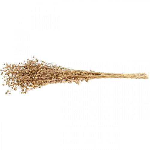 Floristik24 Hierba Seca Lino Seco Natural H50-55cm 80g