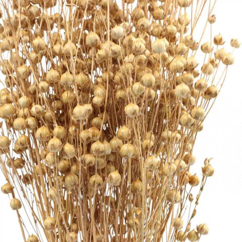 Floristik24 Hierba Seca Lino Seco Natural H50-55cm 80g