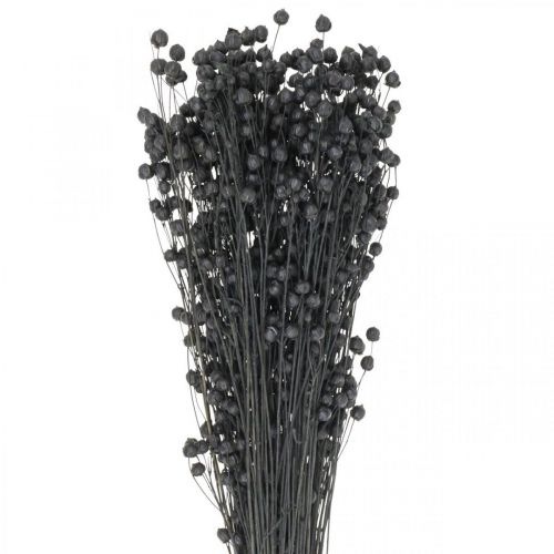 Floristik24 Hierba Seca Lino Seco Negro Al.50–55cm 80g