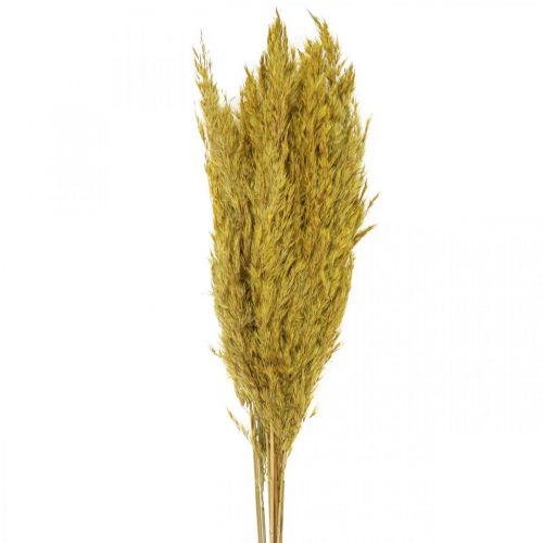 Hierba seca juncia decoración seca amarilla 70cm 10uds