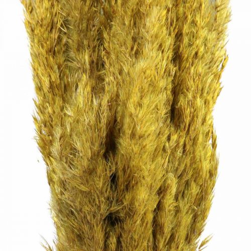 Artículo Hierba seca juncia decoración seca amarilla 70cm 10uds