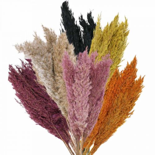 Hierba seca Juncia seca diferentes colores 70cm 10pcs