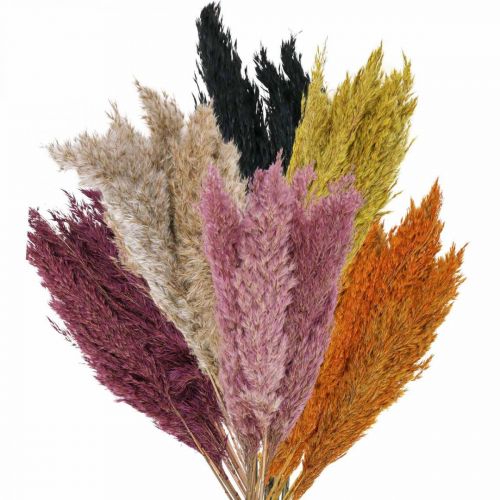 Artículo Juncia de hierba seca seca varios colores 70cm 10uds