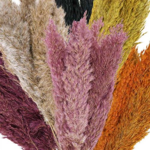 Artículo Juncia de hierba seca seca varios colores 70cm 10uds