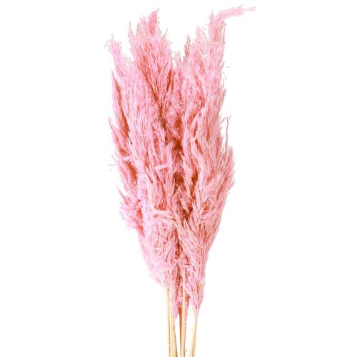 Hierba seca Hierba de junco Hierba decorativa seca Rosa 70cm 10 piezas