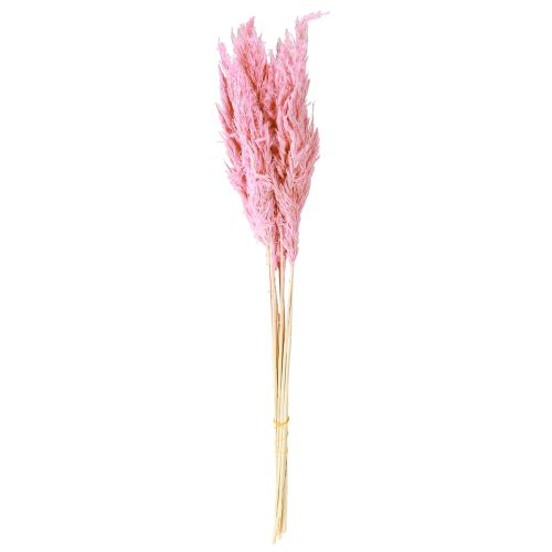 Artículo Hierba seca Hierba de junco Hierba decorativa seca Rosa 70cm 10 piezas