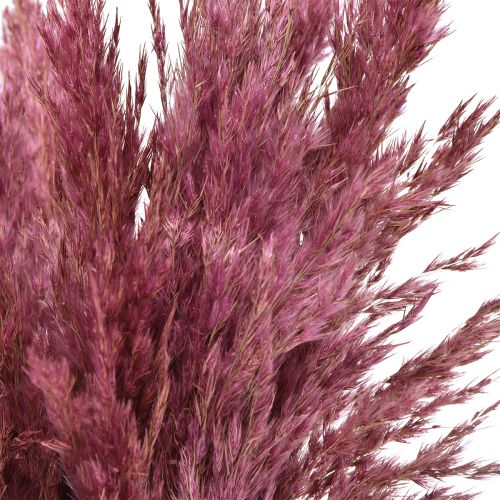 Artículo Hierba seca juncia hierba decorativa seca rosa viejo 75cm 10 piezas