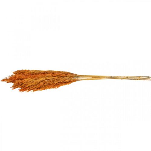 Artículo Hierba seca juncia hierba decorativa seca naranja 70cm 10 piezas