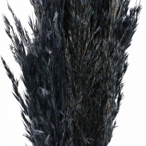 Artículo Hierba seca juncia hierba decorativa negra seca 70cm 10 piezas