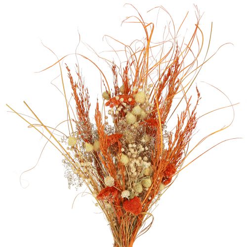 Floristik24 Ramo seco cardo milenrama naranja blanqueado 55cm 150g