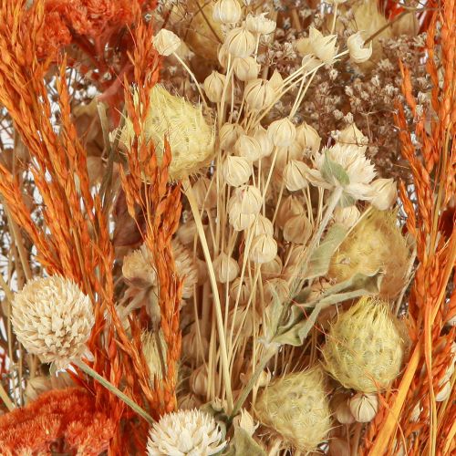Artículo Ramo seco cardo milenrama naranja blanqueado 55cm 150g