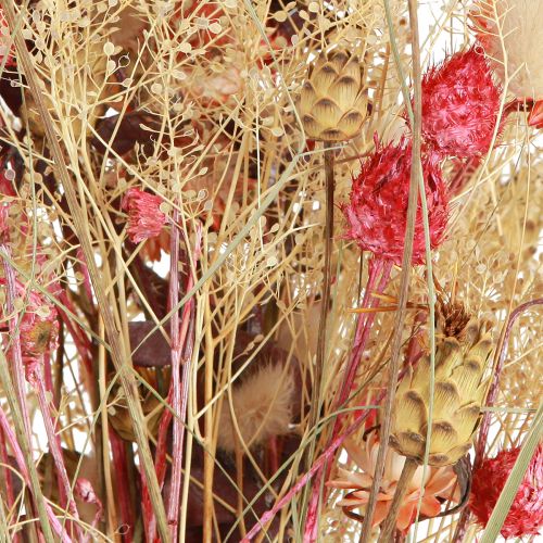 Artículo Ramo seco de centaurea cardo fresa rojo blanqueado 150g