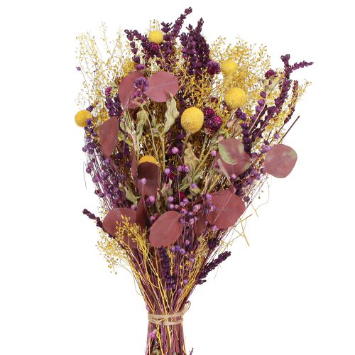 Floristik24 Ramo seco amarillo violeta verde eucalipto craspedia 53cm 150g