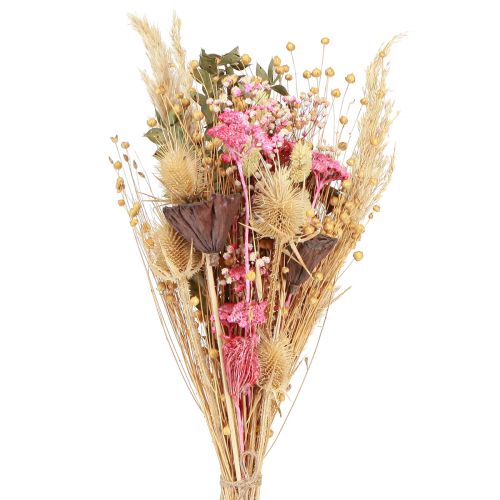 Floristik24 Ramo seco loto lino cardo rosa crema 50cm 100g