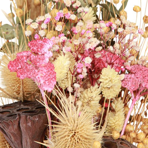 Floristik24 Ramo seco loto lino cardo rosa crema 50cm 100g