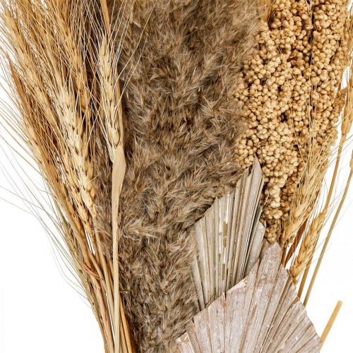 Floristik24 Ramo seco de hierba seca manojo de grano natural, blanco 74cm