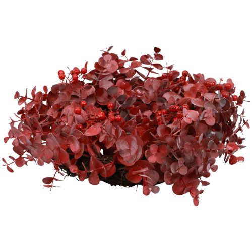 Floristik24 Corona de puerta eucalipto corona de eucalipto rojo artificial Ø40cm