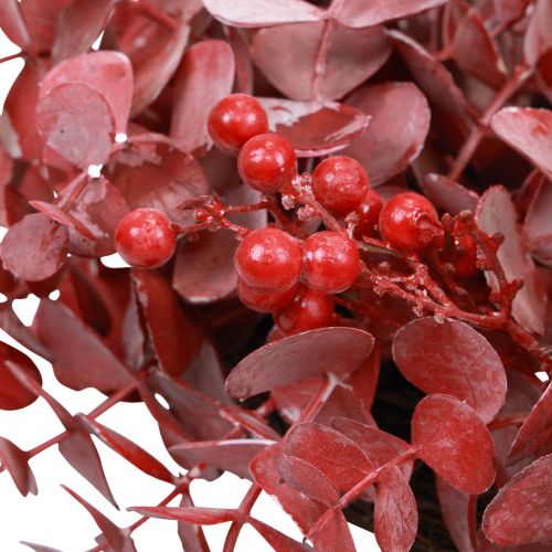 Floristik24 Corona de puerta eucalipto corona de eucalipto rojo artificial Ø40cm