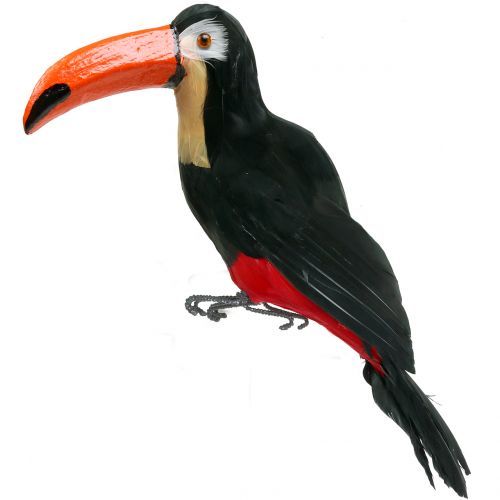 Floristik24 Tucán decorativo con plumas negro L37cm
