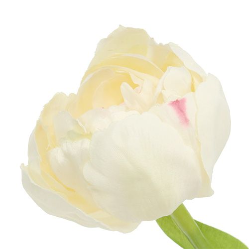 Floristik24 Crema de tulipanes 37cm 6pcs