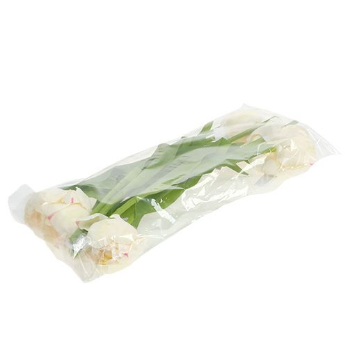 Floristik24 Crema de tulipanes 37cm 6pcs