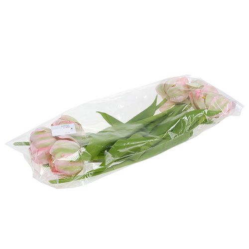 Floristik24 Tulipán rosa, verde 37cm 6pcs