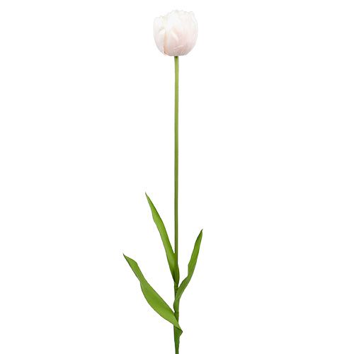 Floristik24 Tulipán blanco-rosa 86cm 3uds