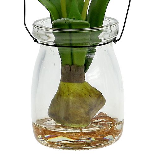 Floristik24 Tulipán blanco en vidrio A21cm 1pc