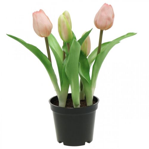 Floristik24 Tulipán rosa, verde en maceta Planta artificial en maceta tulipán decorativo H23cm