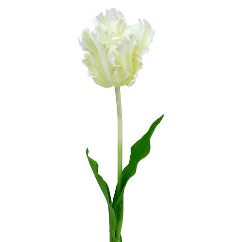 Floristik24 Tulipán artificial blanco 70cm