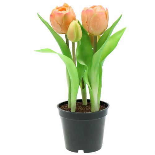 Floristik24 Tulipán Real-Touch Melocotón 23cm