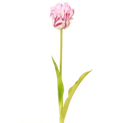 Artículo Tulipanes artificiales loro tulipanes morados ramo con 5 flores 40cm