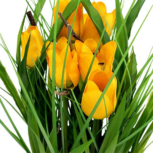 Floristik24 Tulipanes en maceta amarilla 30cm