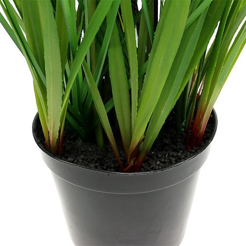 Floristik24 Tulipanes en maceta amarilla 30cm