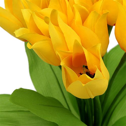 Floristik24 Arbusto de tulipanes Amarillo H30cm