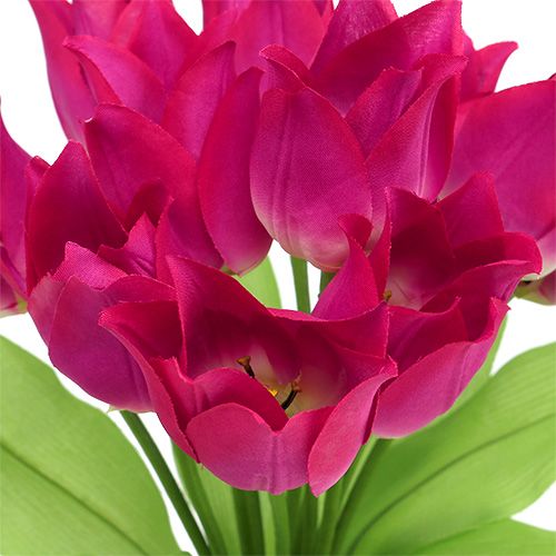 Floristik24 Arbusto de tulipanes rosa L 30cm