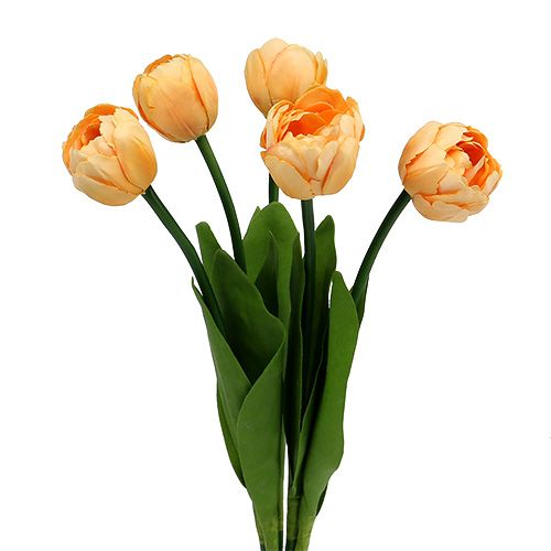 Floristik24 Ramo de tulipanes albaricoque 43cm