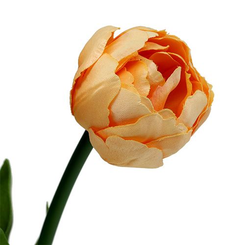 Floristik24 Ramo de tulipanes albaricoque 43cm