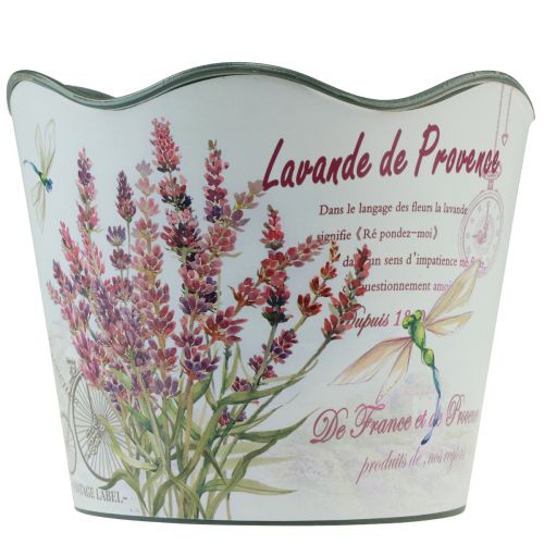 Floristik24 Maceta de plástico para flores de lavanda Ø13,5cm H12cm