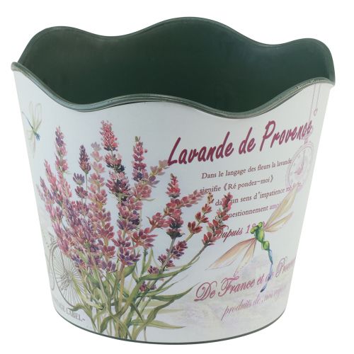 Artículo Maceta de plástico para flores de lavanda Ø13,5cm H12cm