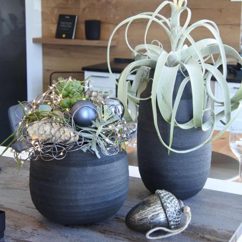 Floristik24 Jardinera maceta de cerámica negra Ø27cm H23cm