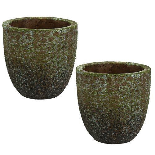 Floristik24 Albañilería gris, verde Ø14cm H14cm 2pcs