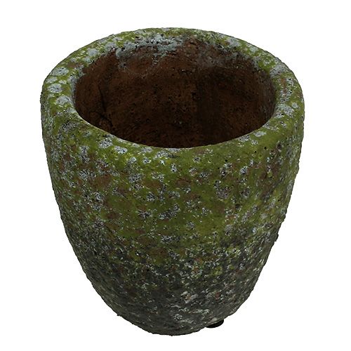 Floristik24 Jardinera con musgo Ø10cm H10.5cm 4pcs
