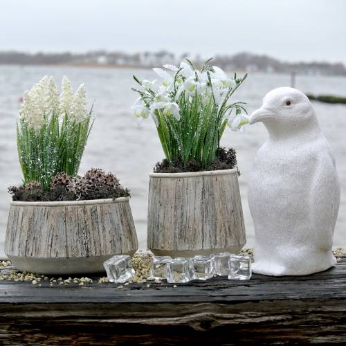 Floristik24 Jardinera florero hormigón diseño madera Ø15cm